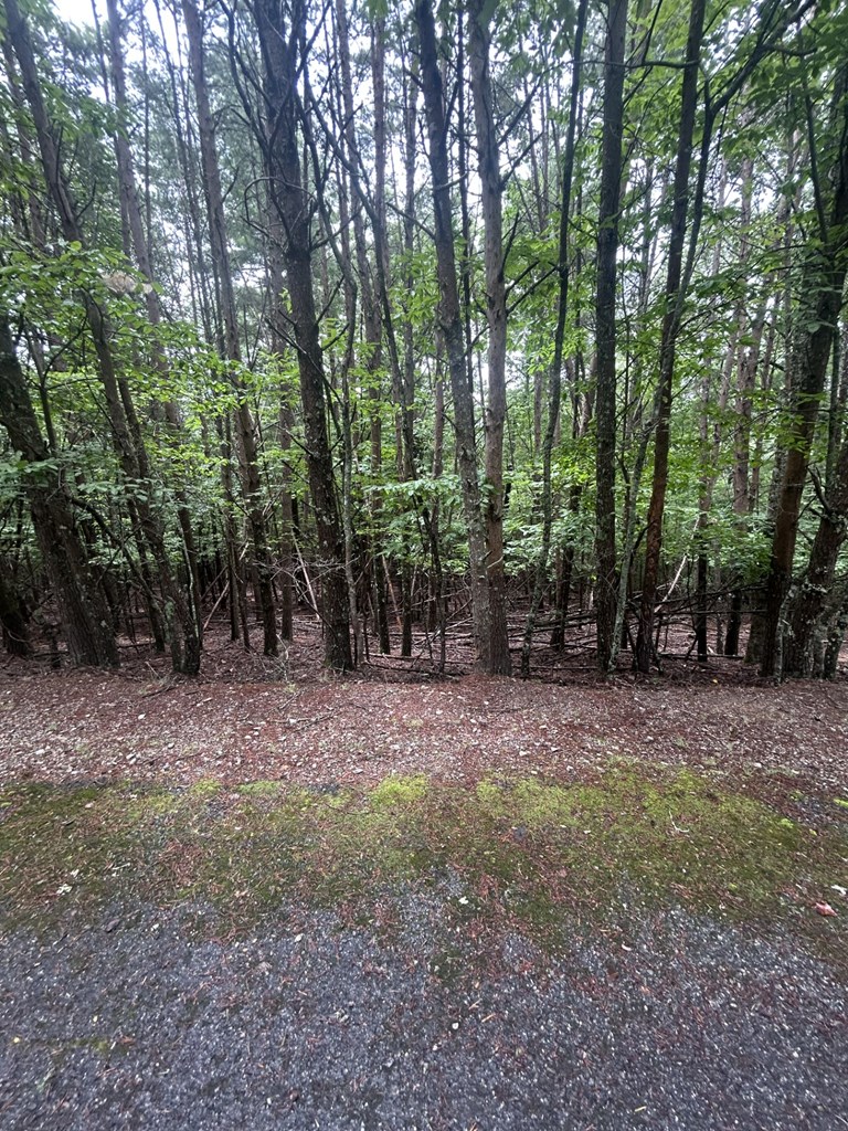 Lot #4 Summit Drive Property Photo 7