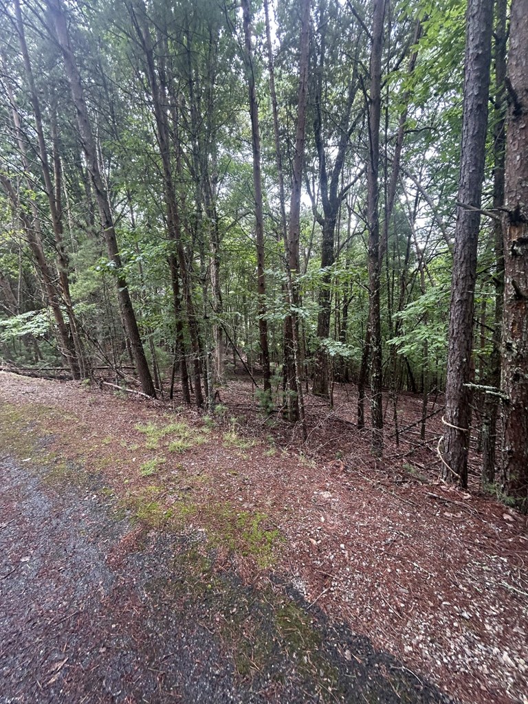 Lot #4 Summit Drive Property Photo 8