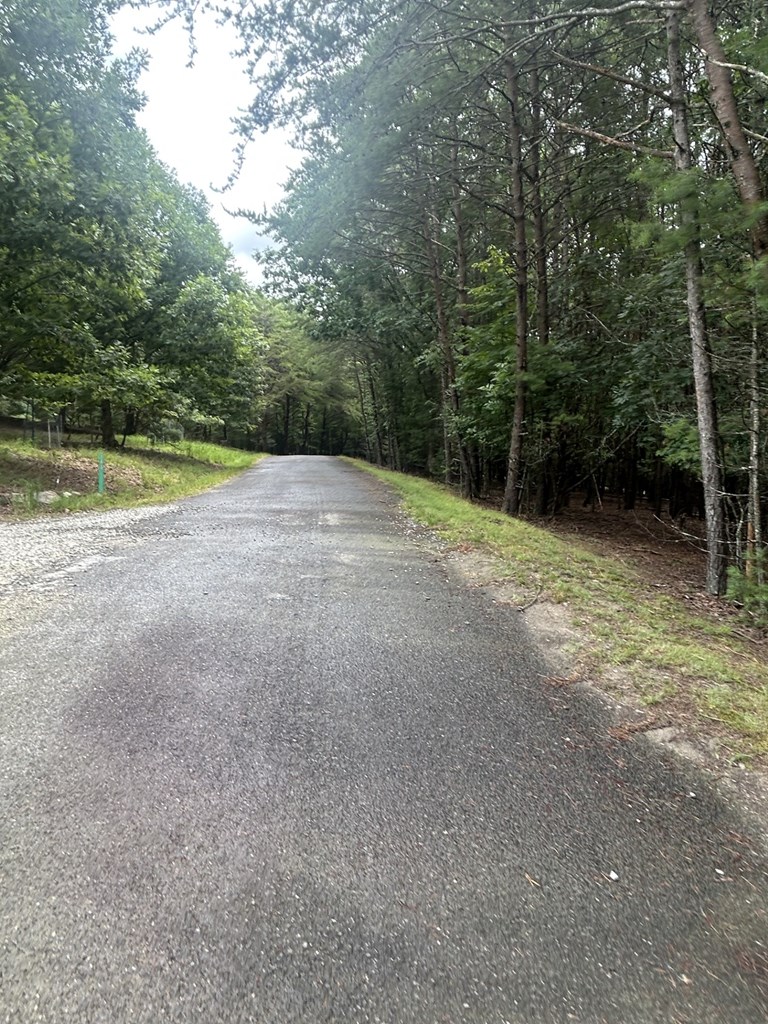 Lot #4 Summit Drive Property Photo 9