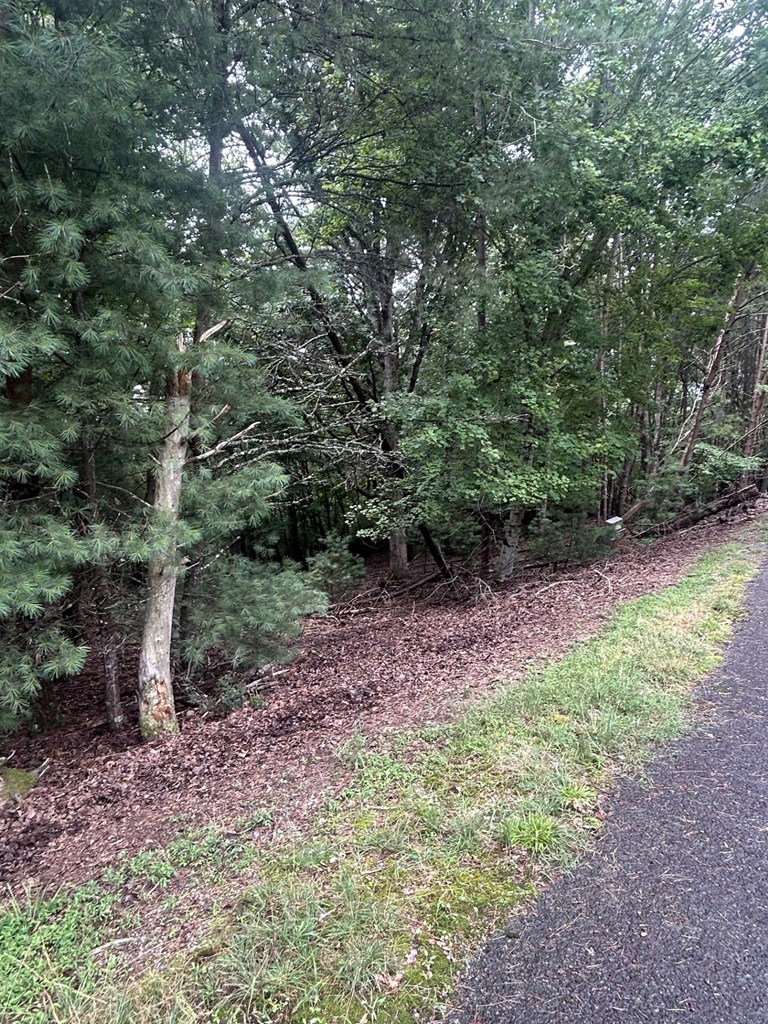 Lot #4 Summit Drive Property Photo 10