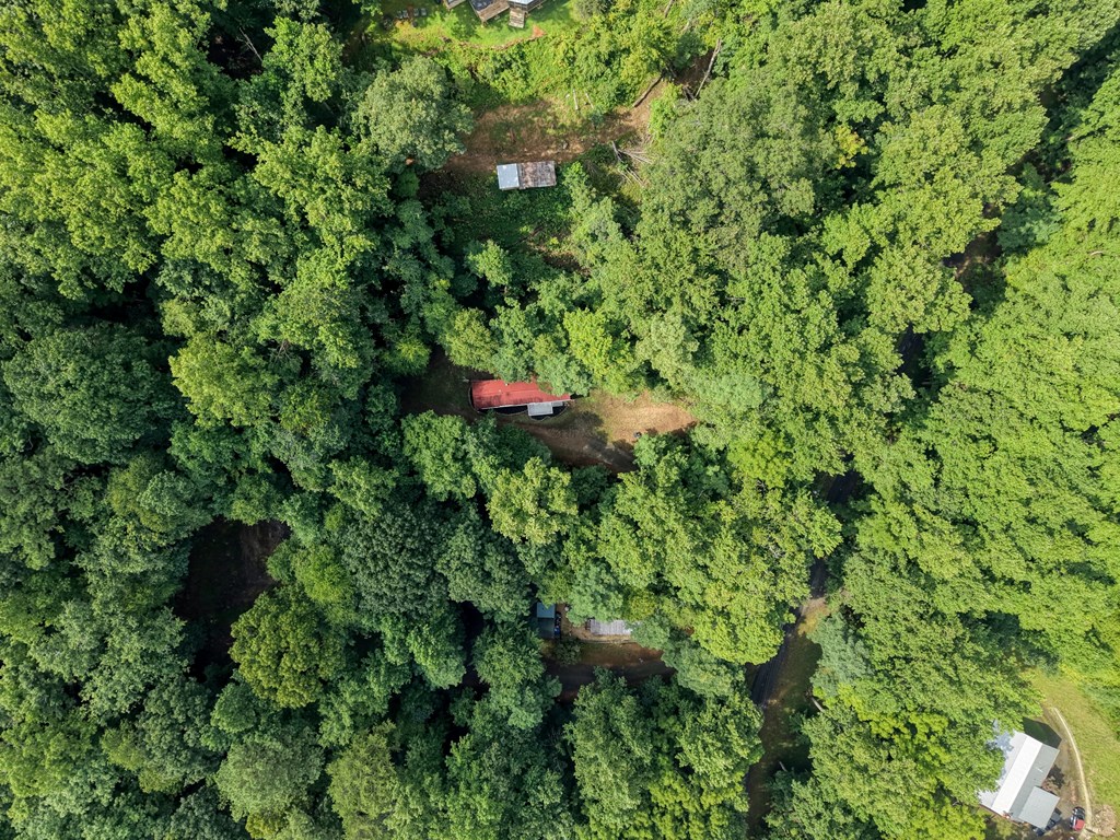 8223 True Love Mountain Road Property Photo 25