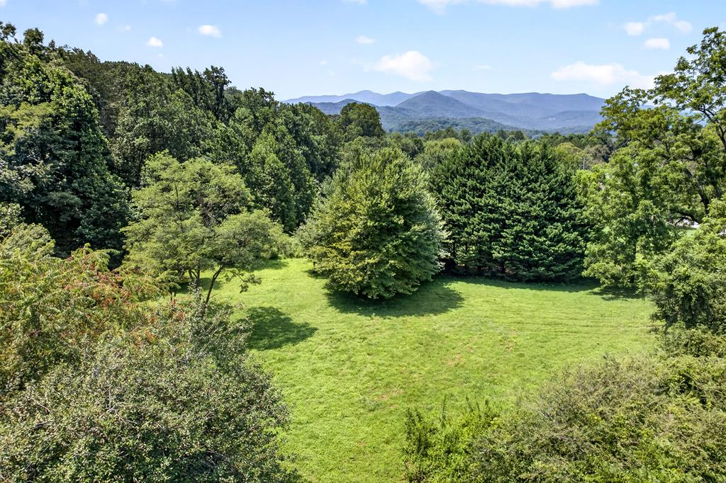 .93 Ac. Bocon Lane Property Photo 1