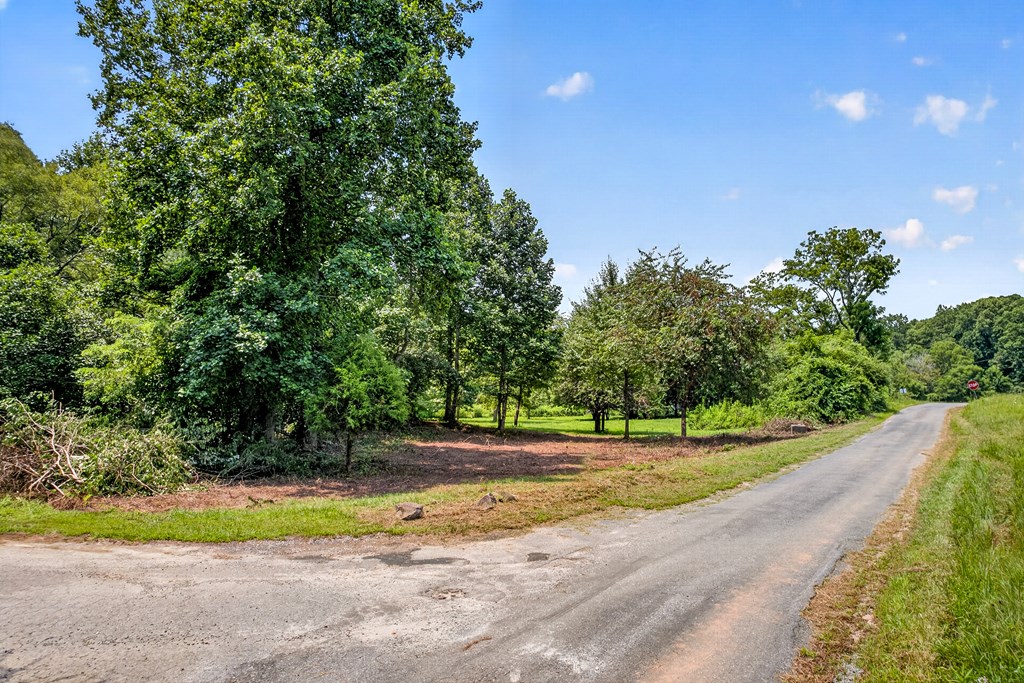.93 Ac. Bocon Lane Property Photo 2