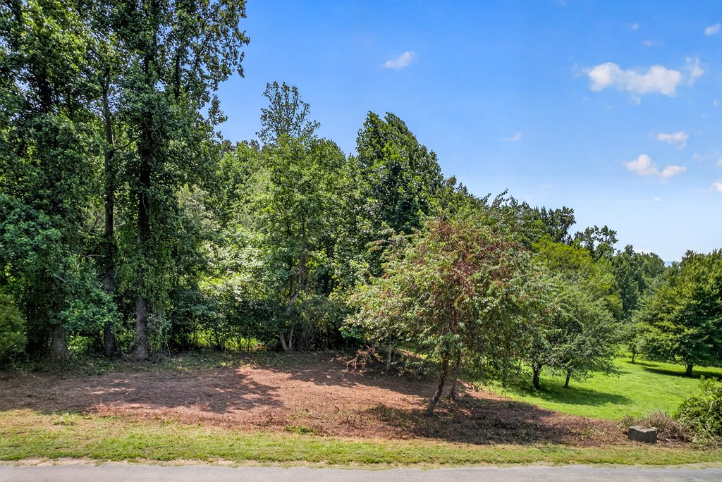 .93 Ac. Bocon Lane Property Photo 3