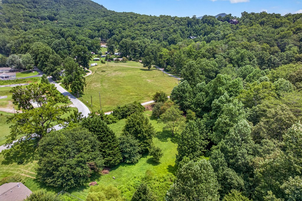 .93 Ac. Bocon Lane Property Photo 4