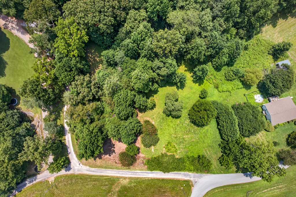 .93 Ac. Bocon Lane Property Photo 8