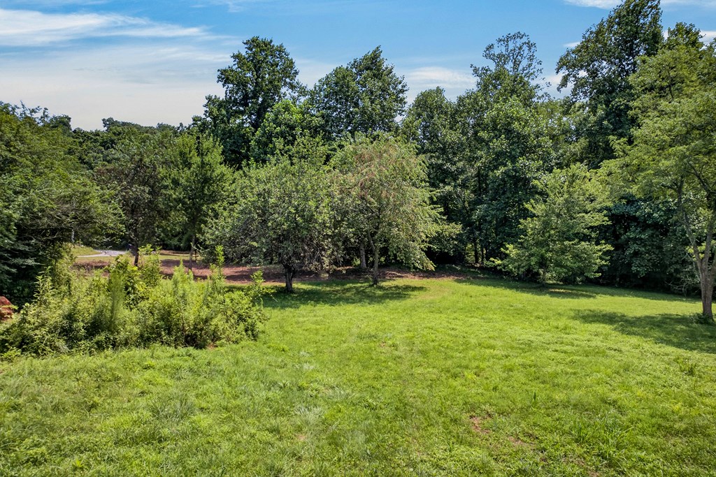 .93 Ac. Bocon Lane Property Photo 9