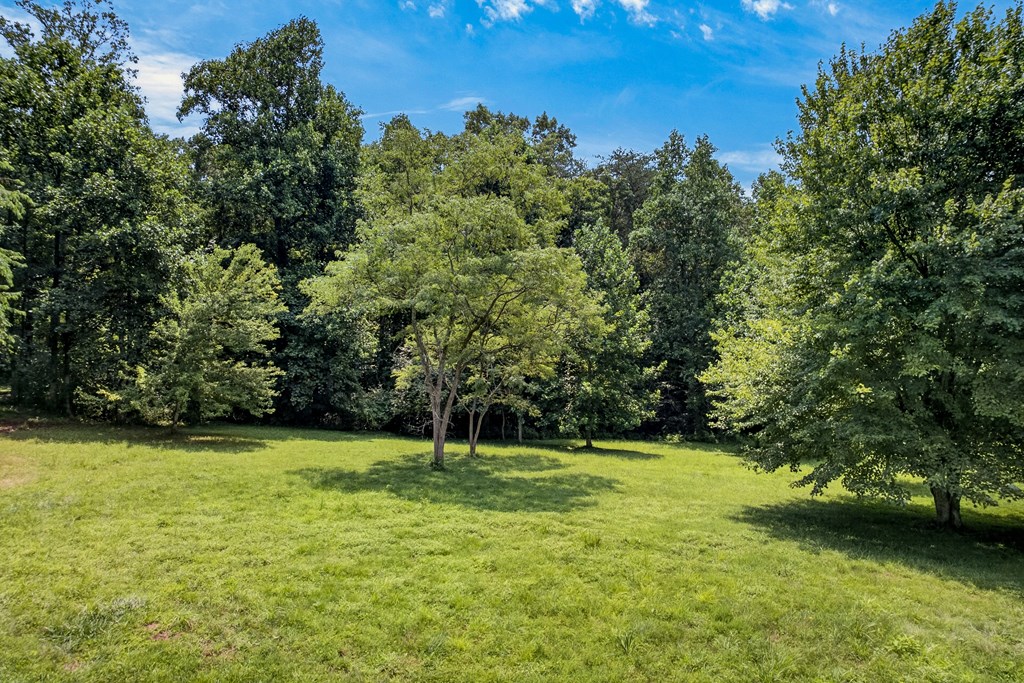 .93 Ac. Bocon Lane Property Photo 10