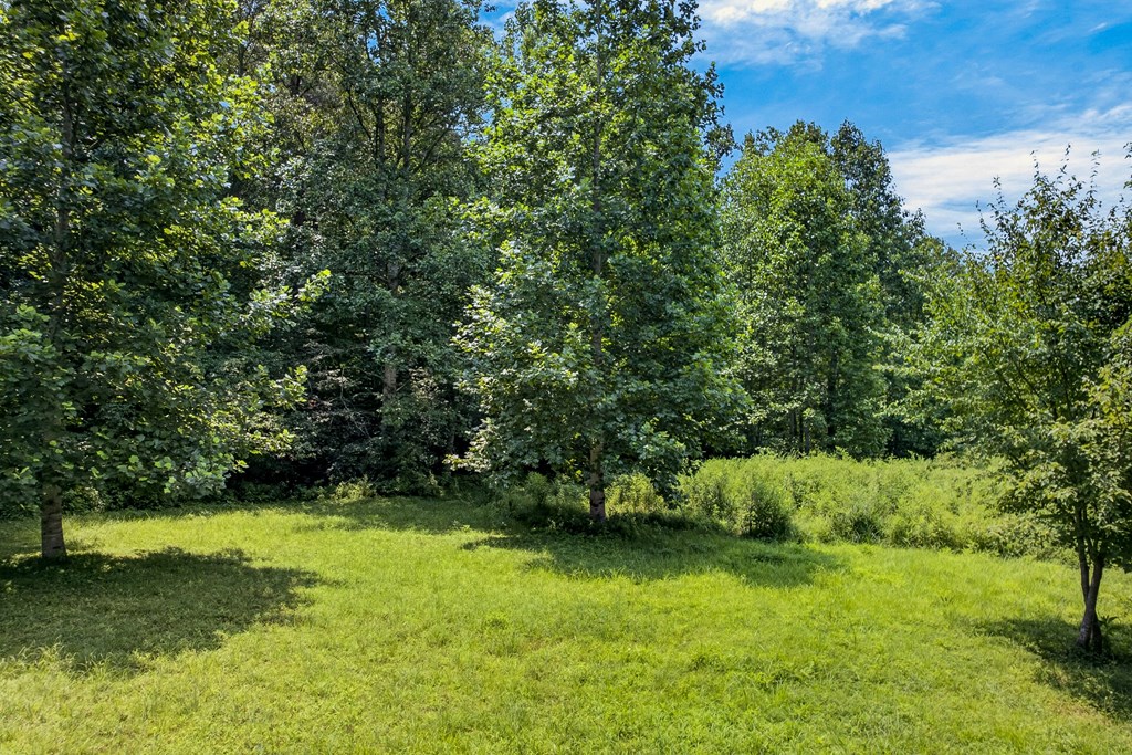 .93 Ac. Bocon Lane Property Photo 11