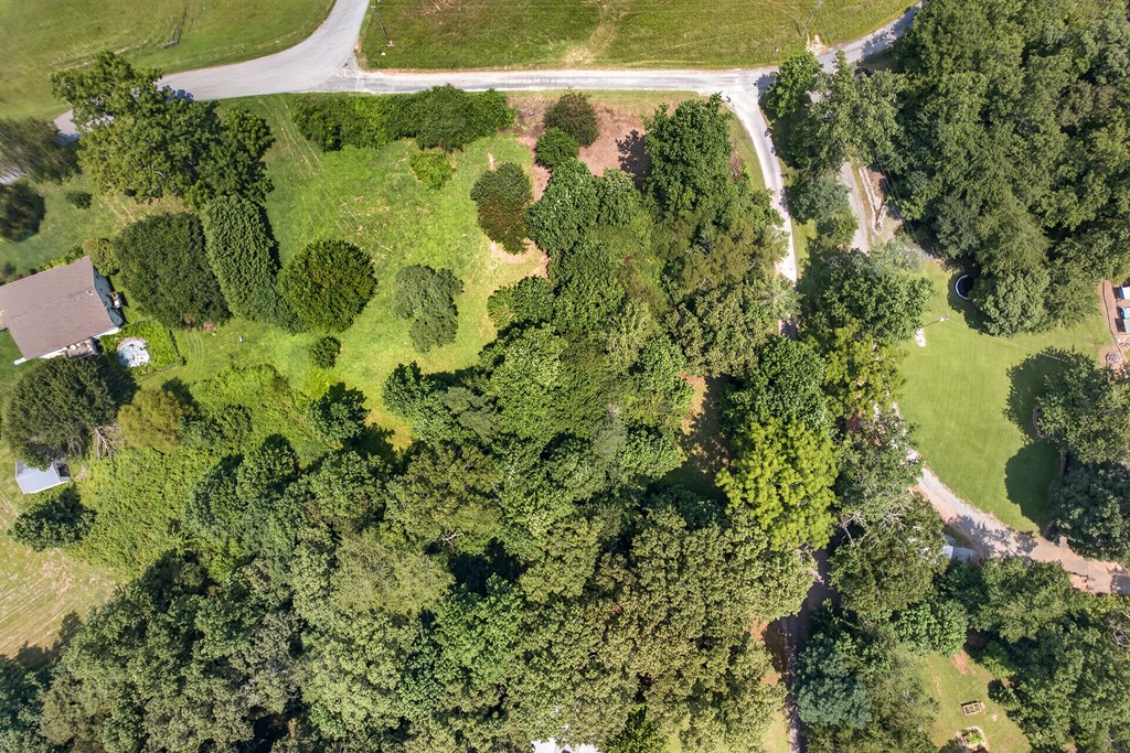.93 Ac. Bocon Lane Property Photo 12