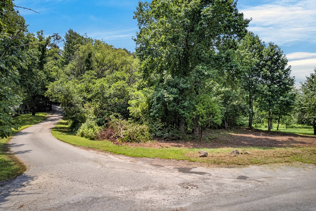 .93 Ac. Bocon Lane Property Photo 13