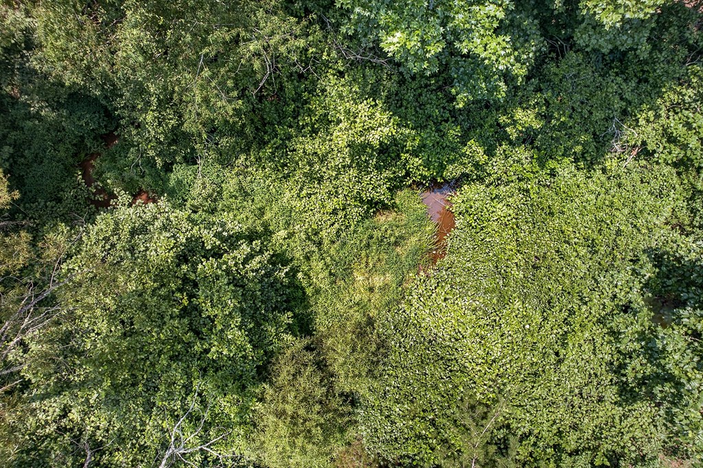 .93 Ac. Bocon Lane Property Photo 14