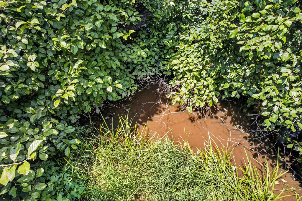 .93 Ac. Bocon Lane Property Photo 15