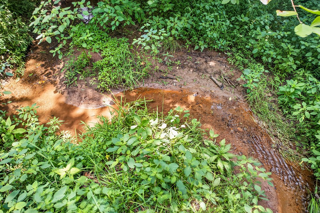 .93 Ac. Bocon Lane Property Photo 16