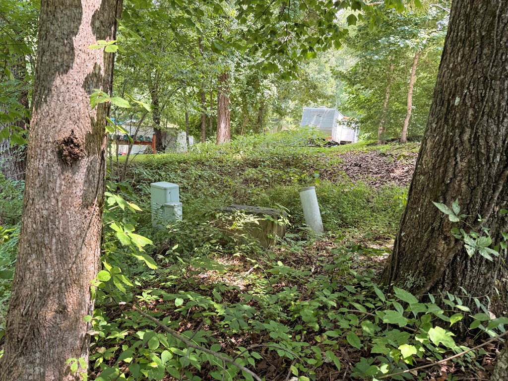 .93 Ac. Bocon Lane Property Photo 17