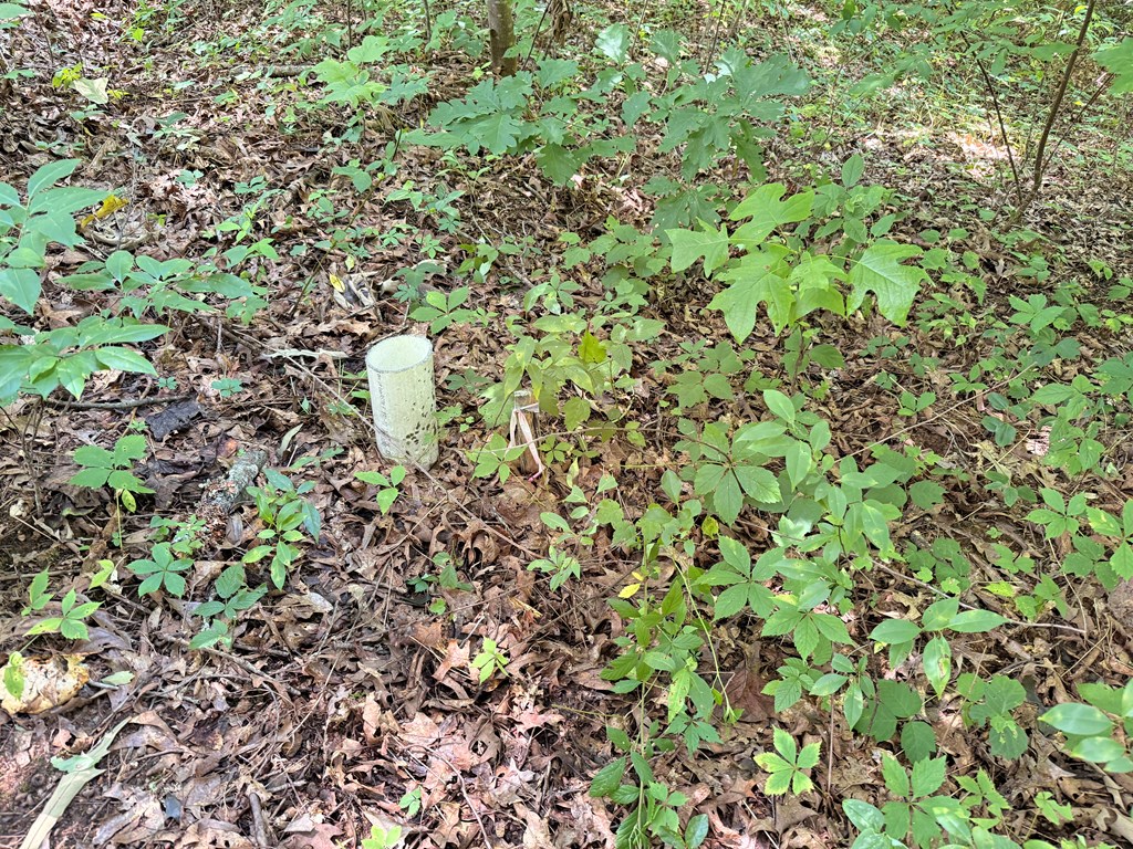 .93 Ac. Bocon Lane Property Photo 18