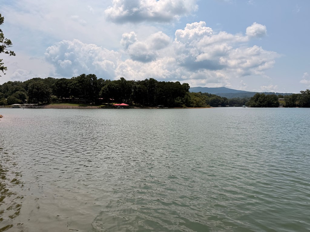 .93 Ac. Bocon Lane Property Photo 21
