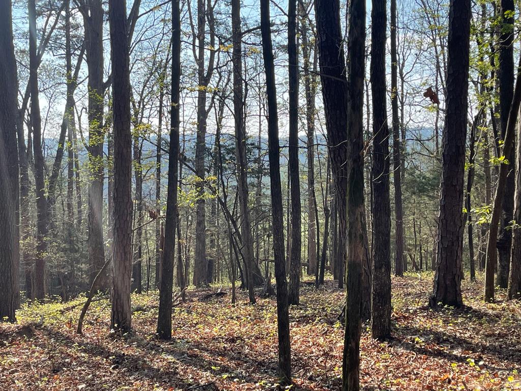 TRACT1B Chalcrest Way