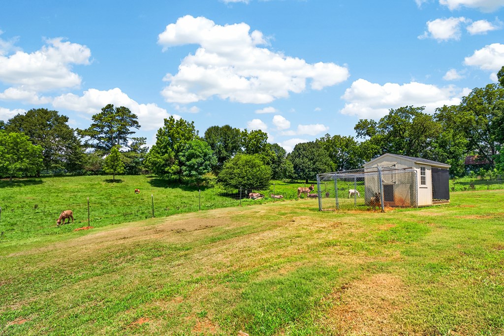 14155 Highway 106 Property Photo 44