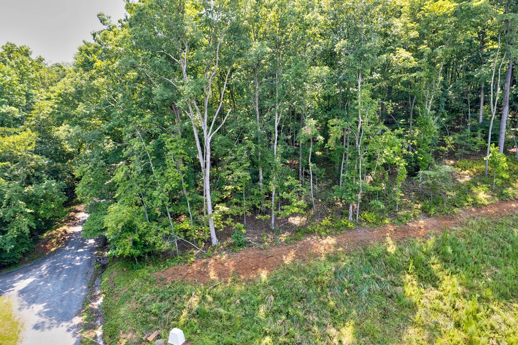 0 Shady Lane Property Photo 2