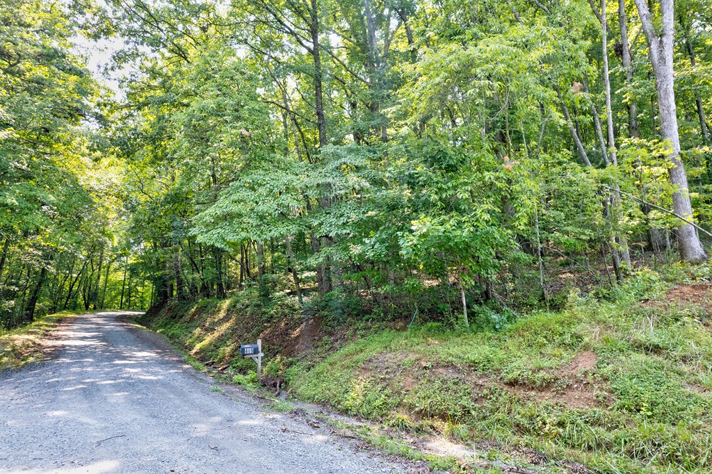 0 Shady Lane Property Photo 4