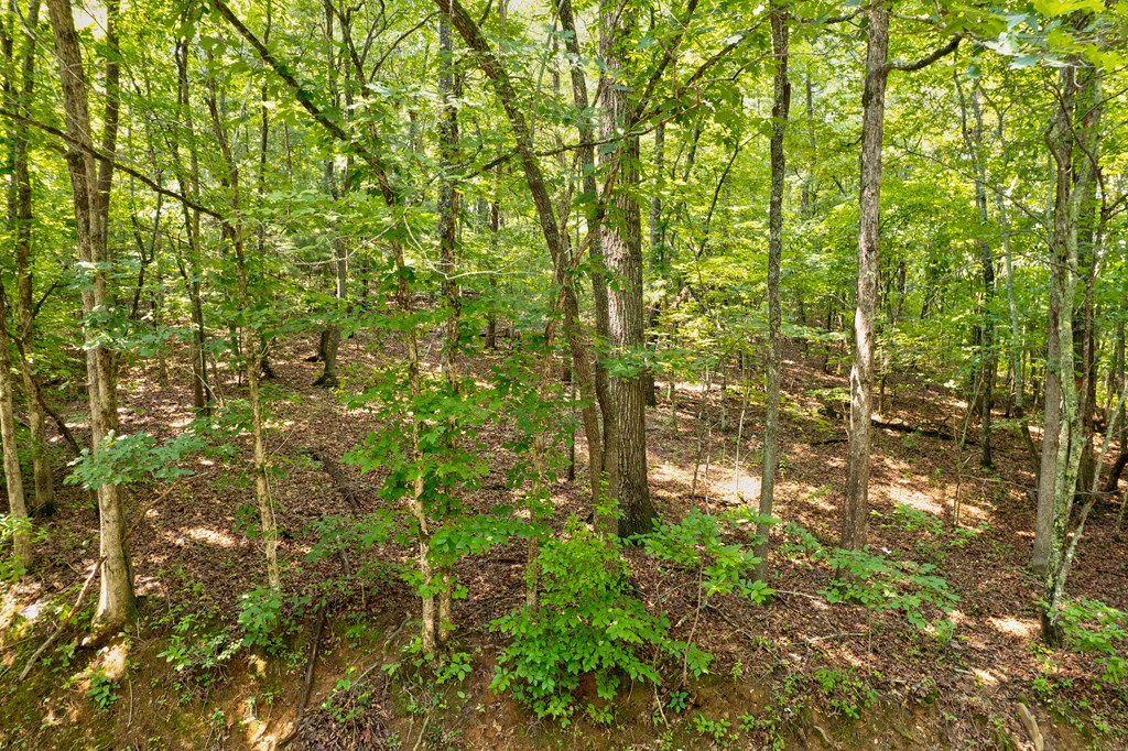0 Shady Lane Property Photo 9