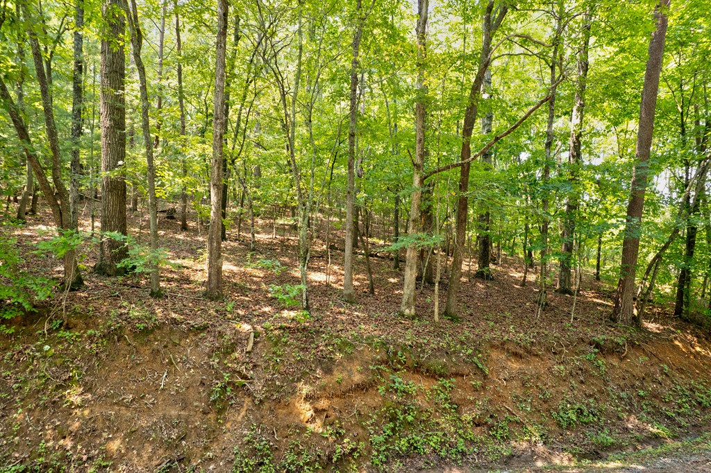 0 Shady Lane Property Photo 15