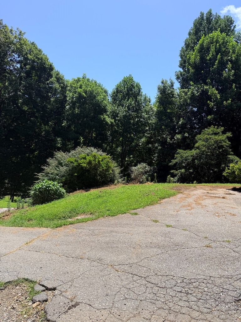 99 Pear Lane Property Photo 13