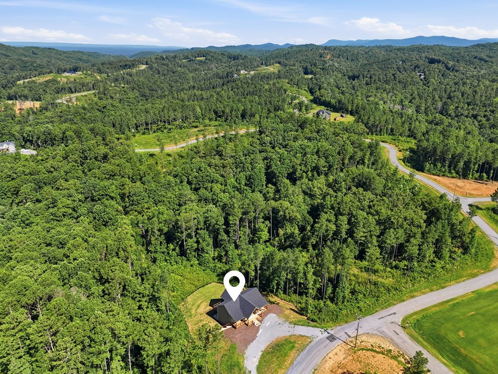 2956 Blalock Mountain Road Property Photo 3