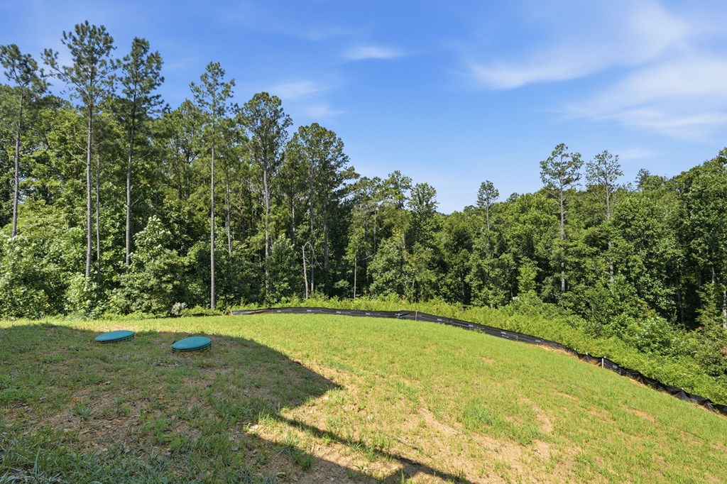 2956 Blalock Mountain Road Property Photo 48