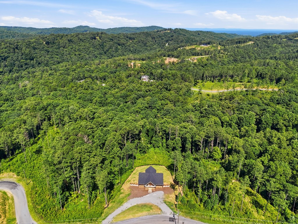 2956 Blalock Mountain Road Property Photo 53