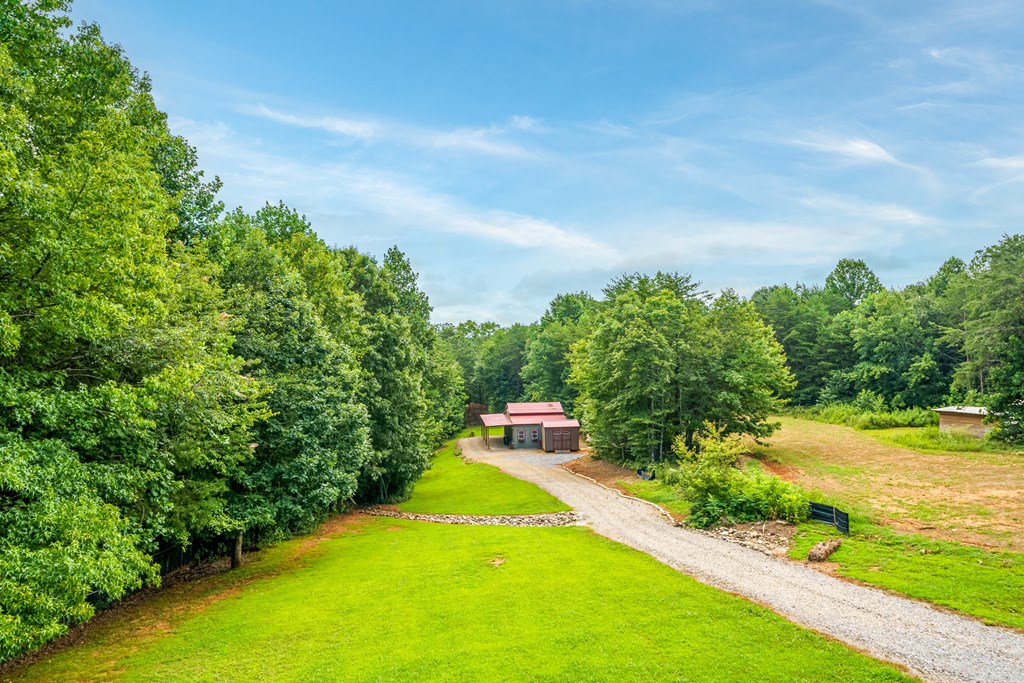 203 Firetower Road Property Photo 8