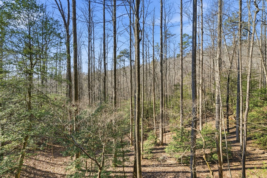 266 Chimney Rock Road Property Photo 29