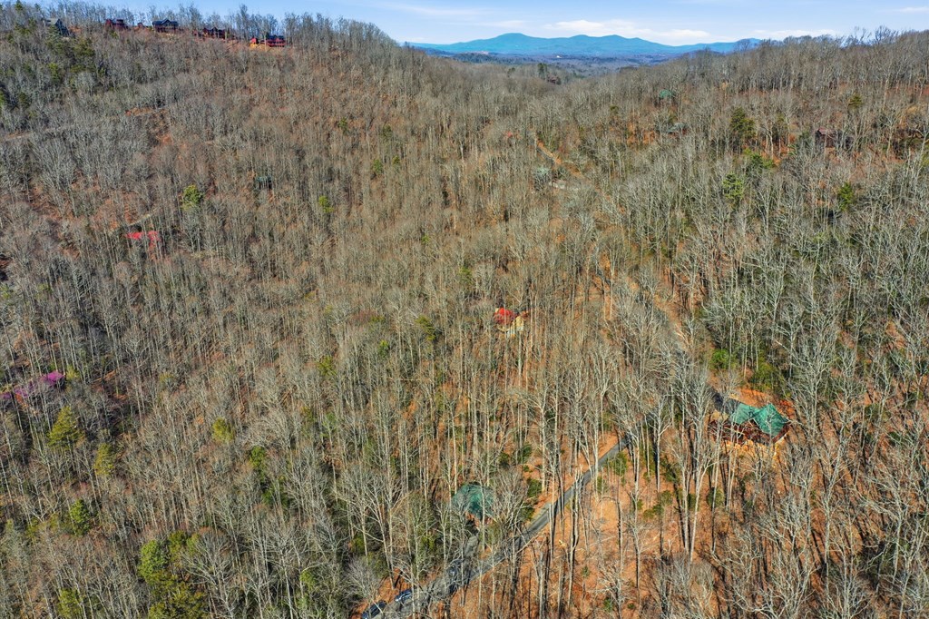 266 Chimney Rock Road Property Photo 34