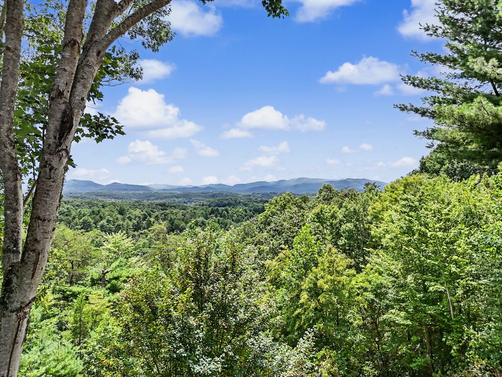 1259 My Mountain Road Property Photo 5