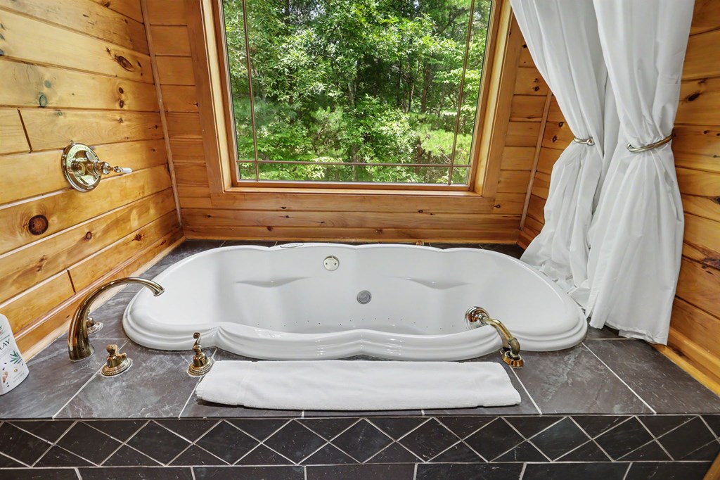 1259 My Mountain Road Property Photo 43
