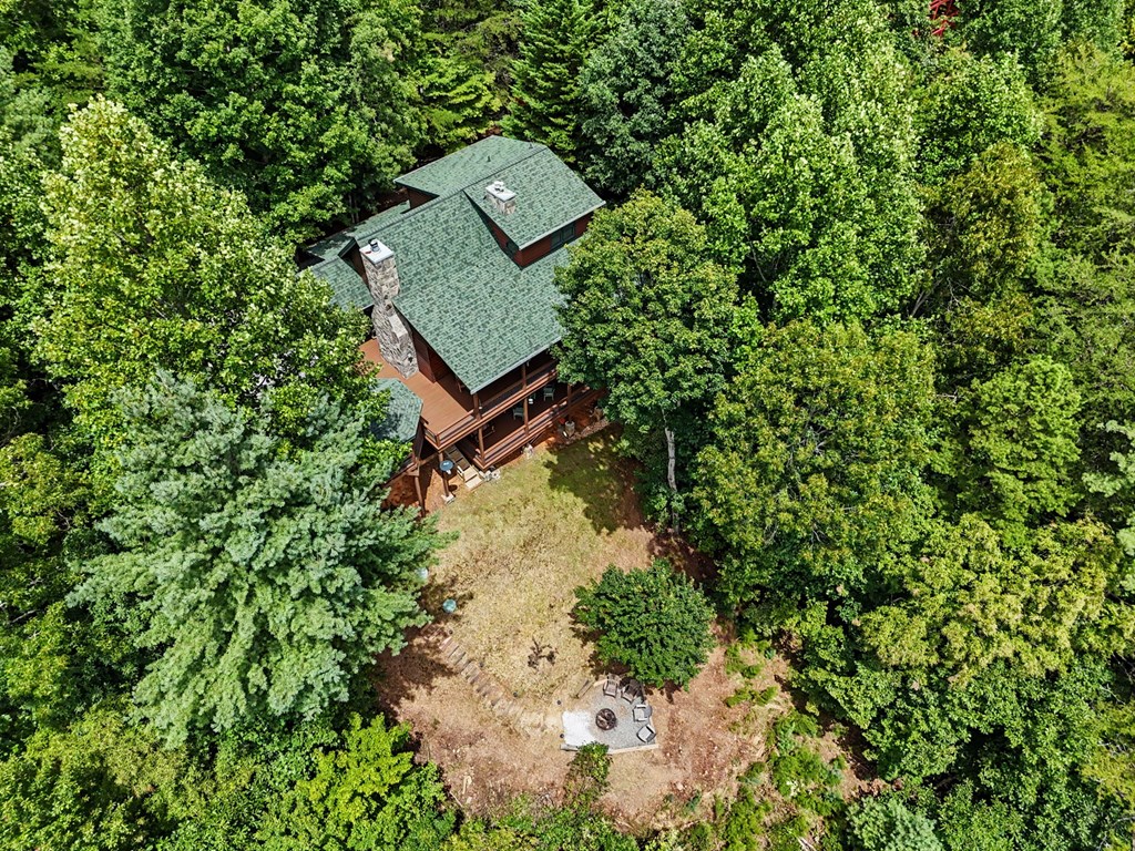 1259 My Mountain Road Property Photo 72