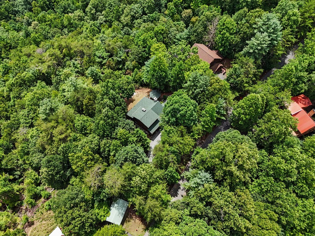 1259 My Mountain Road Property Photo 74