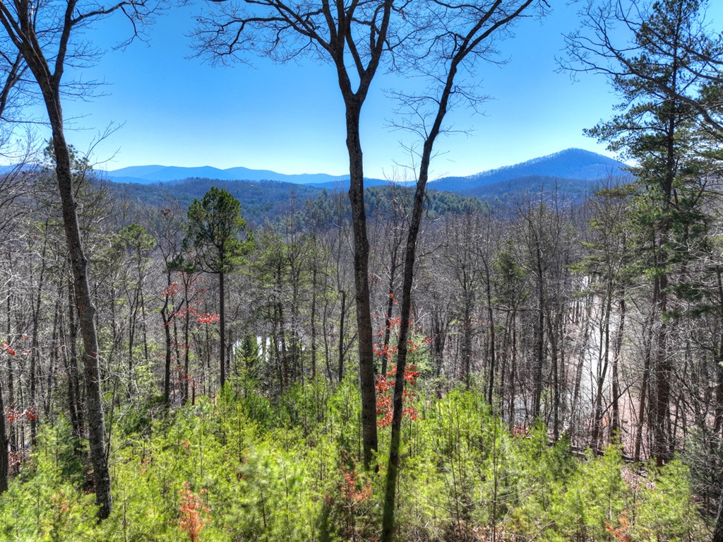 78 Brass Hill Road Property Photo 3