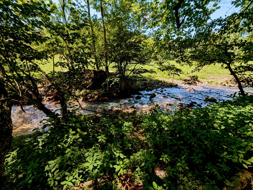 169 E Vineyard Road Property Photo 8