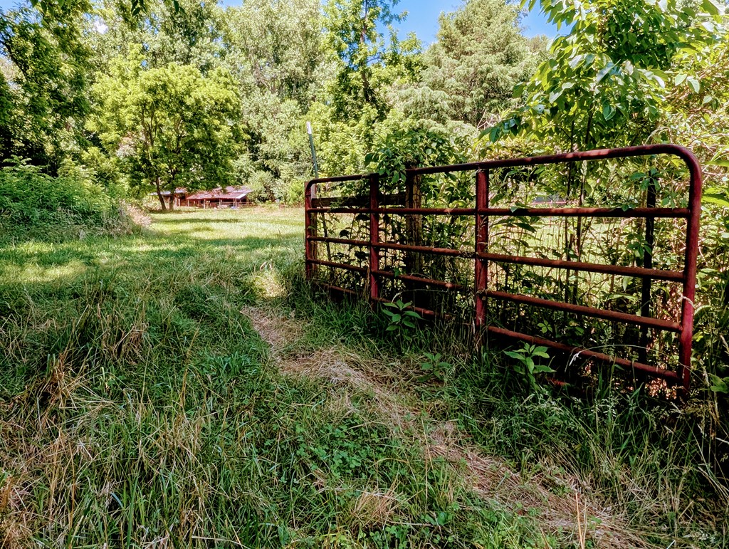 169 E Vineyard Road Property Photo 9