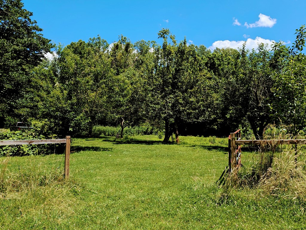169 E Vineyard Road Property Photo 17