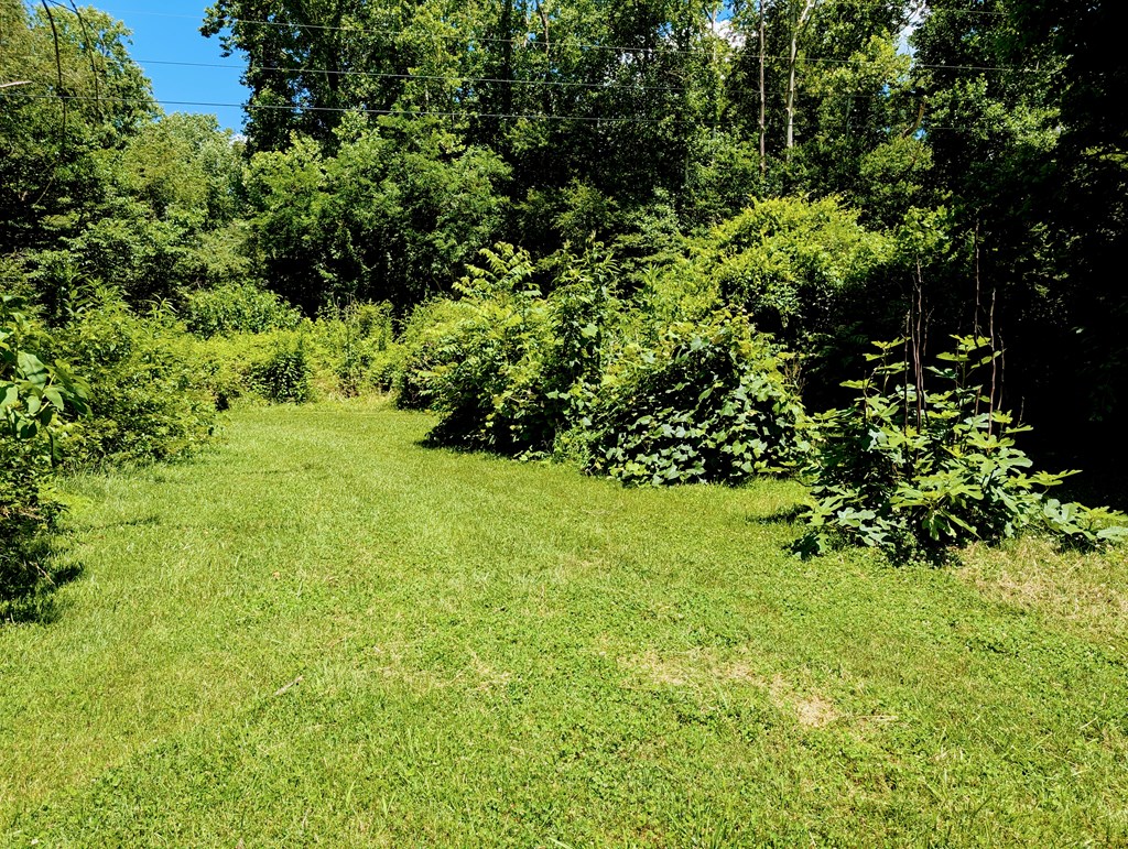169 E Vineyard Road Property Photo 21