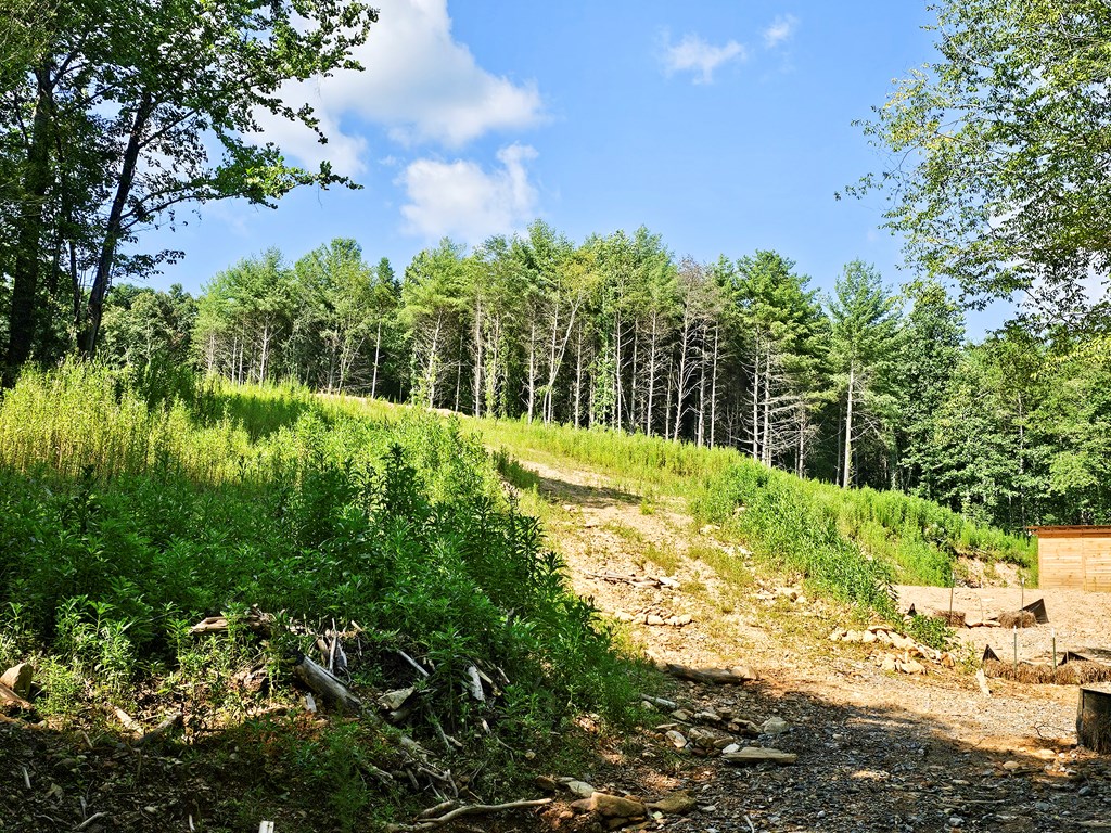 8.43 Ac River Cove Lane Property Photo 2