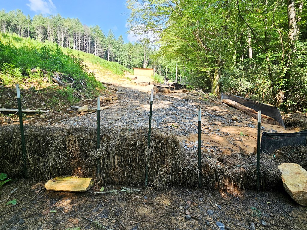 8.43 Ac River Cove Lane Property Photo 6