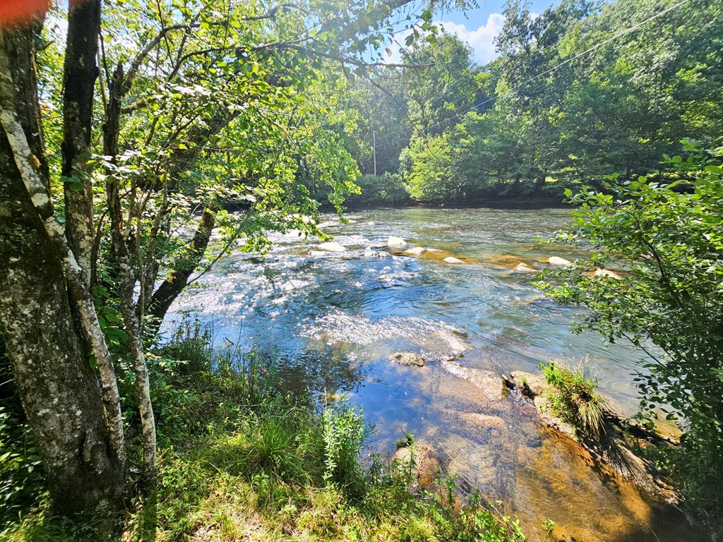 8.43 Ac River Cove Lane Property Photo 13