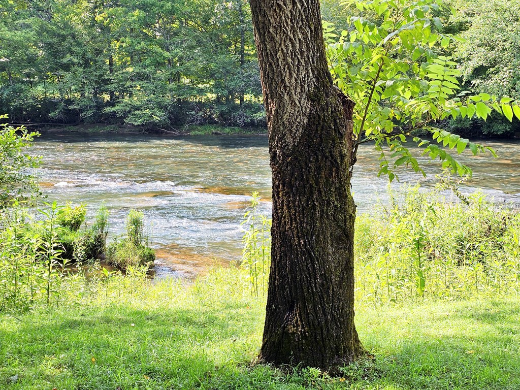 8.43 Ac River Cove Lane Property Photo 14