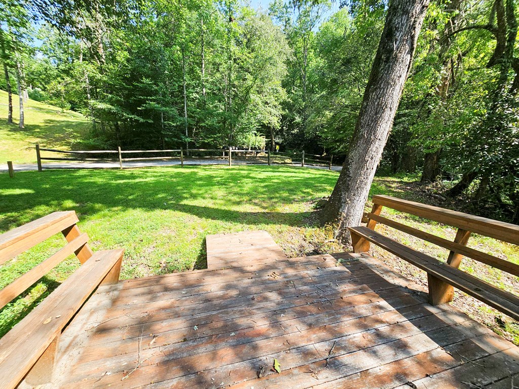 8.43 Ac River Cove Lane Property Photo 15