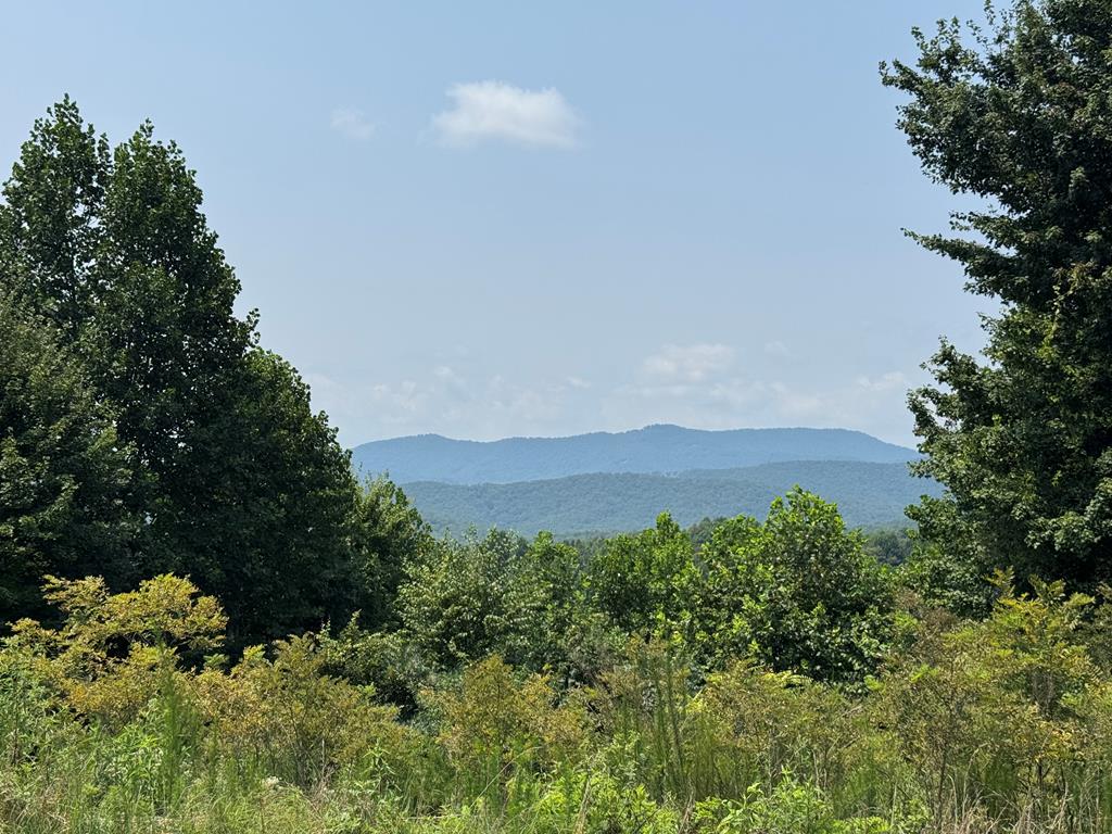 00 Great Sky Trail Property Photo 1