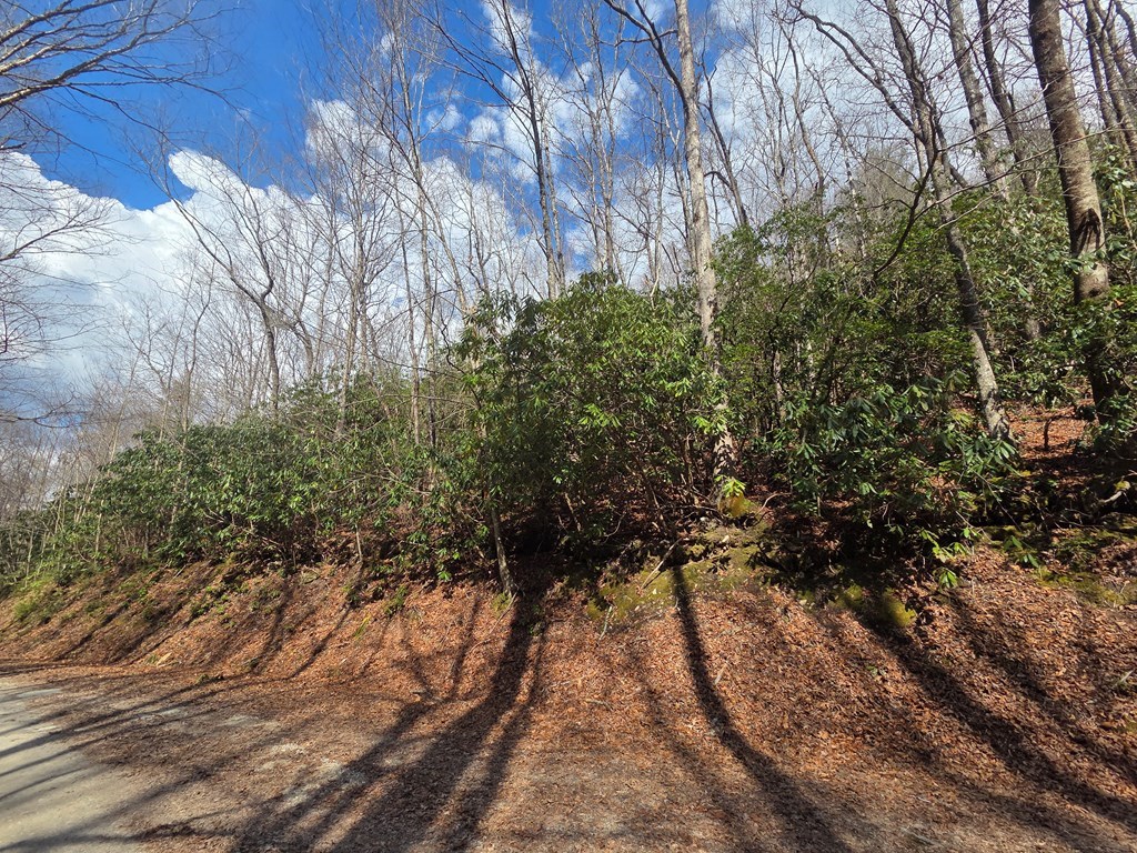 1104 Mill Creek Road Property Photo 2